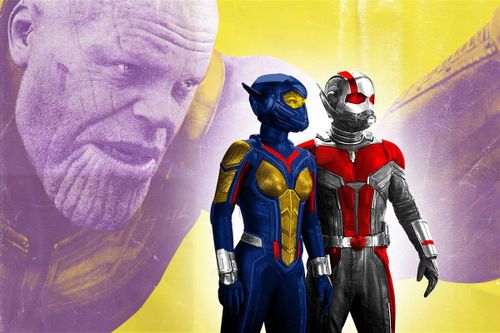Bí mật nằm trong đoạn kết 'Người Kiến & Chiến binh Ong' của Marvel