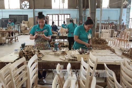 Ngành gỗ chủ động ứng phó cuộc chiến thương mại Mỹ - Trung