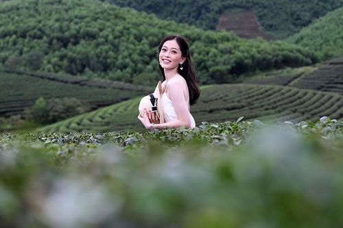 Ngắm nhan sắc thí sinh HHVN thả dáng ở đồi chè Thanh Chương