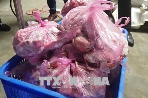 Phát hiện hàng chục tấn thực phẩm tươi sống và đông lạnh không rõ nguồn gốc xuất xứ
