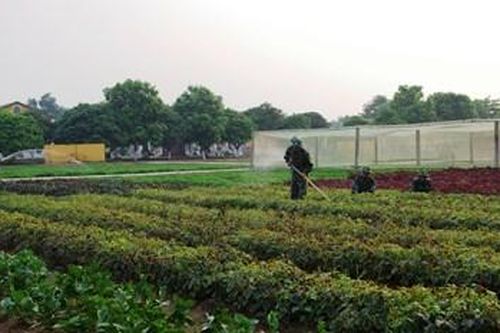Tự lực, tự cường bảo đảm hiệu quả tăng gia sản xuất