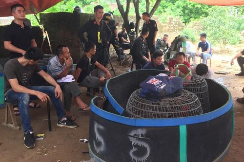 Bắt 60 đối tượng đang sát phạt nhau qua hình thức đá gà