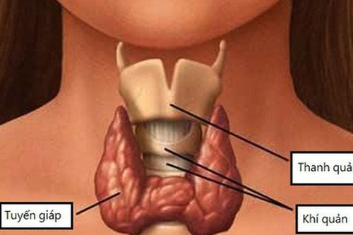 Chuyên gia cảnh báo nếu thấy dấu hiệu này, nhiều khả năng bạn mắc bệnh về tuyến giáp