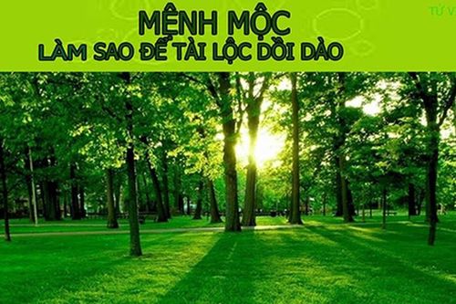 Người mệnh Mộc, chỉ cần có thứ này tài lộc sẽ ùn ùn kéo đến