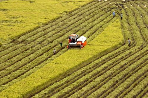 Bộ trưởng Nguyễn Xuân Cường lo ngại 3 thách thức khiến nông nghiệp Việt Nam khó bứt phá