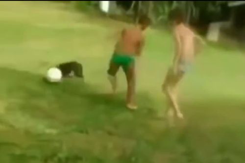 Clip: Chú chó trổ tài dẫn bóng như… Messi