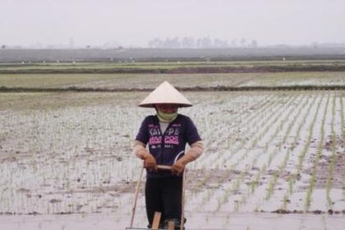 Cần đẩy mạnh cơ giới hóa nông nghiệp