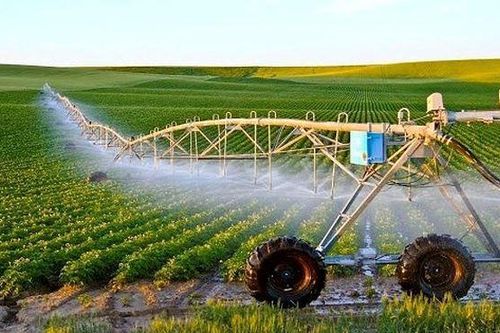 Ưu đãi thuế sử dụng đất cho doanh nghiệp đầu tư vào lĩnh vực nông nghiệp