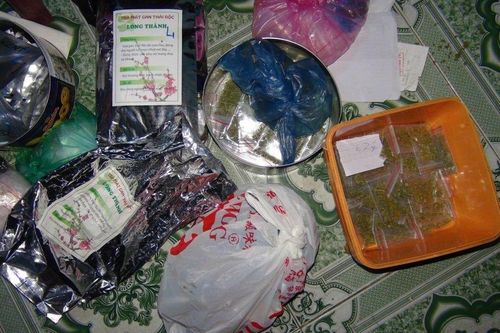 Bắt giam hai mẹ con bán cỏ Mỹ ở Quảng Nam