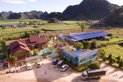 Thảo nguyên xanh Mộc Châu mê hoặc du khách