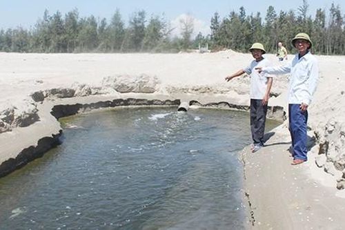 Phạt doanh nghiệp nuôi tôm xả thải ra môi trường gần nửa tỷ đồng