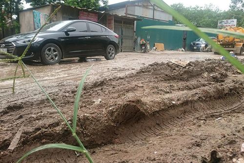 Méo mặt đi trên 'con đường đau khổ' giữa Thủ đô