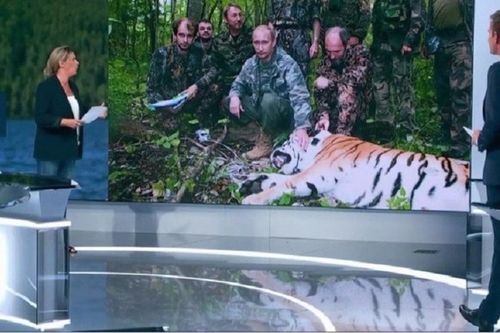 Đưa tin ông Putin đi săn hổ trong ngày nghỉ, truyền hình Pháp bị chỉ trích dữ dội