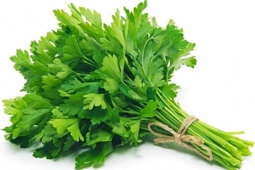 Cho con bú ăn rau mùi tây được không?