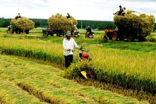 Cần Thơ tiếp tục đẩy mạnh tái cơ cấu nông nghiệp