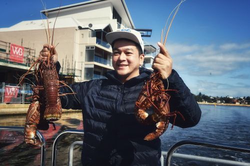 Tour câu tôm hùm sang chảnh ở Australia