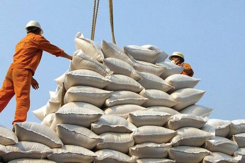 Xuất khẩu gạo: Bỏ tiểu ngạch, chuyển sang chính ngạch