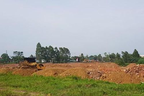 Chưa được giao đất đã tự ý san lấp mặt bằng