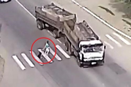 Clip: Chó cưng có giác quan thứ 6 cứu chủ khỏi tay tử thần ngoạn mục