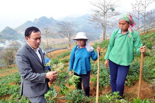 Nâng cao hiệu quả công tác kiểm tra, giám sát ở Lào Cai