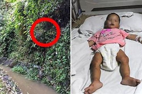 Bé hơn 1 tuổi sống sót sau gần một tuần lạc trong rừng