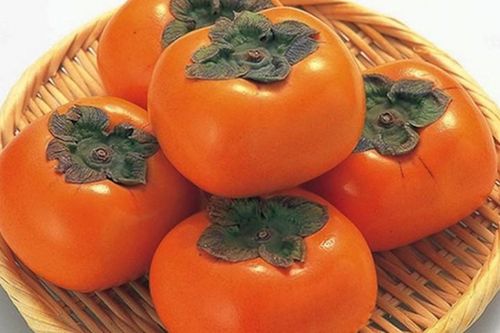 Kinh ngạc loại quả chữa được bệnh trĩ kì diệu