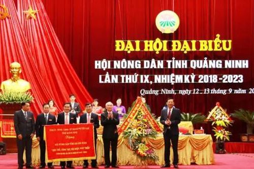 Hội Nông dân tỉnh Quảng Ninh huy động, giúp đỡ trên 20.000 hộ hội viên nghèo