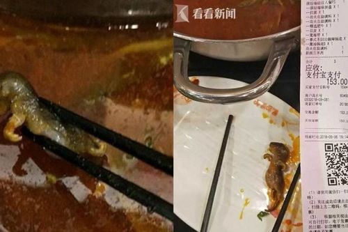 Chuột 'bơi' trong nồi lẩu, nhà hàng nổi tiếng mất hàng trăm triệu USD