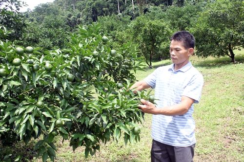 Bắc Cạn giúp nông dân phát triển sản xuất