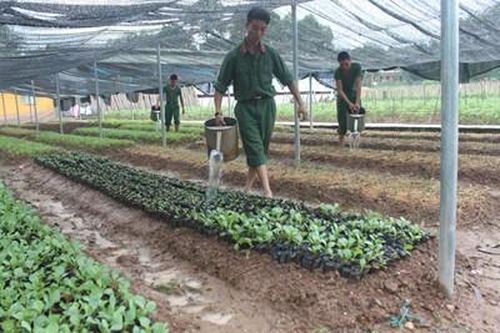Sư đoàn Bộ binh 3 (Quân khu 1): Quản lý chặt chẽ, đồng bộ công tác quân nhu