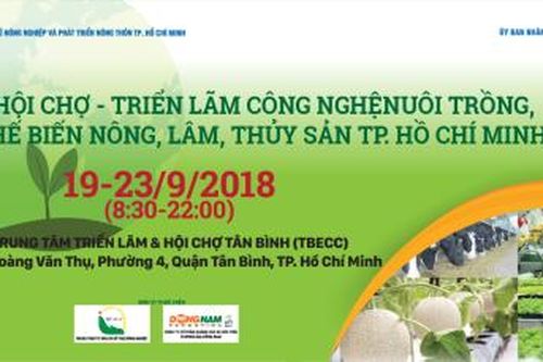 Cầu nối giúp liên kết sản xuất và tiêu thụ hàng hóa