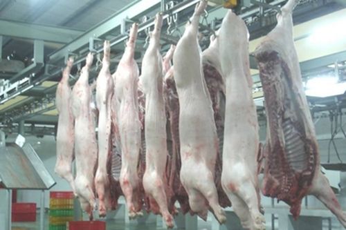 Các điều kiện về địa điểm cơ sở giết mổ gia súc, gia cầm
