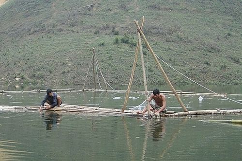 Mô hình nuôi cá lồng trên lòng hồ thủy điện