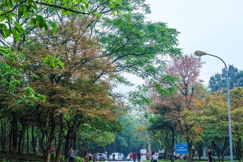 'Chắp cánh' cho du lịch Ba Vì