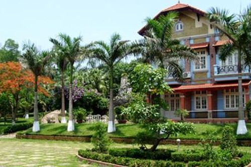 5 loại cây phong thủy trồng trước nhà giúp gia chủ cả đời giàu sang