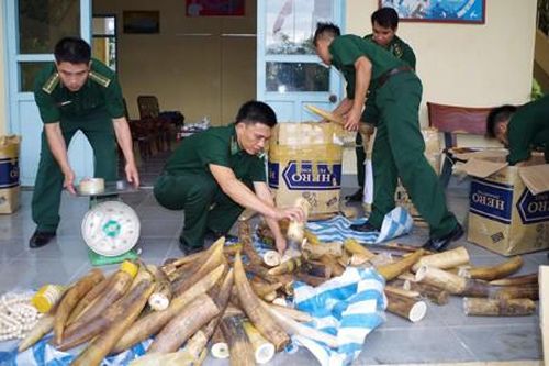 Buôn lậu mùa nước nổi: Lực bất tòng tâm