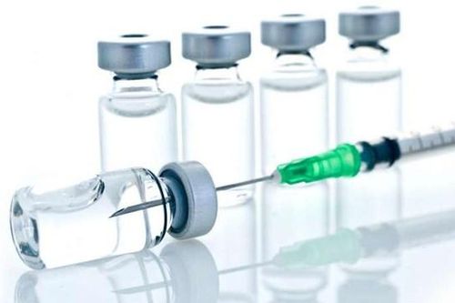 Chủ động vắcxin phòng dịch cúm