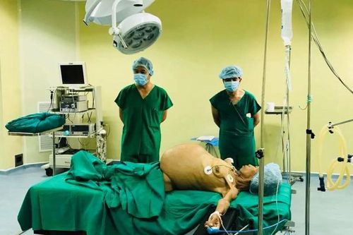 'Bóc' thành công khối u buồng trứng nặng gần 20 kg