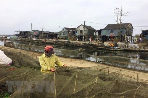 10 năm Chiến lược biển: Khai thác thế mạnh về thủy sản