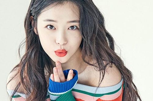 Xem vận trình sự nghiệp tuổi Tý năm 2019