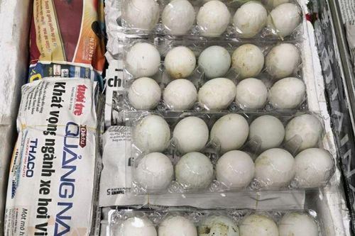 Bị phạt 7.000 đô vì mang trái phép 500 quả trứng vịt lộn vào Singapore