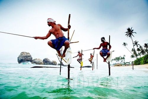Những người ngồi cọc câu cá cuối cùng ở Sri Lanka