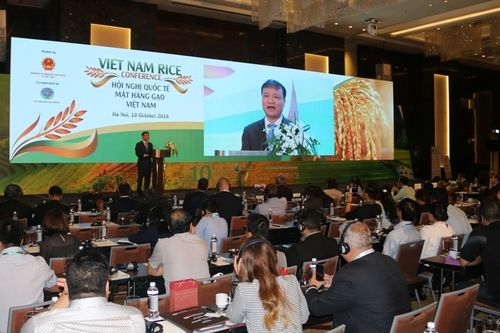 Xuất khẩu gạo Việt Nam đứng thứ 3 thế giới
