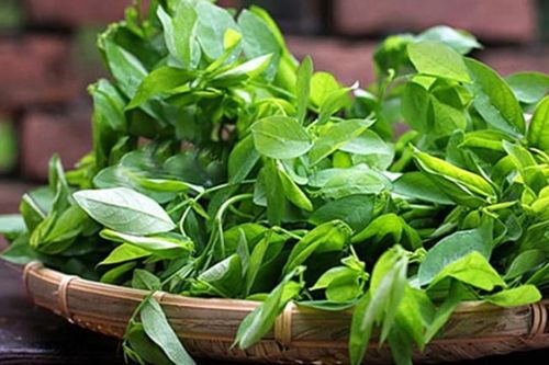 8 loại rau 'đại kỵ' có thể gây sảy thai cho mẹ bầu