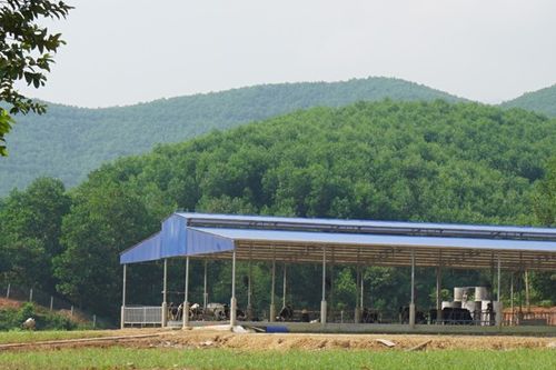 Thủ phủ đá đỏ Quỳ Châu: Giấc mơ thoát nghèo trên vùng đất bạc tỷ