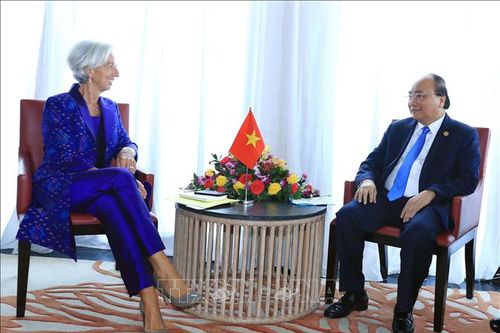 IMF tiếp tục hỗ trợ Việt Nam giữ vững ổn định kinh tế vĩ mô, thúc đẩy tăng trưởng kinh tế