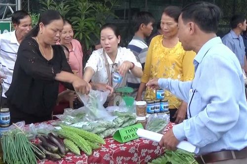 Đưa nông sản sạch đến người tiêu dùng