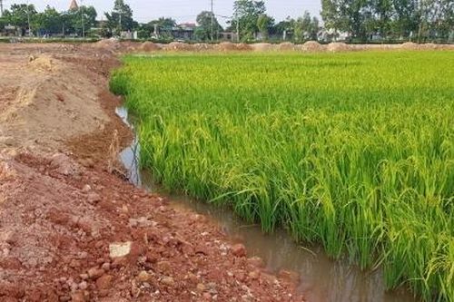 Bài 6: Liệu vụ việc có 'chìm xuồng'?