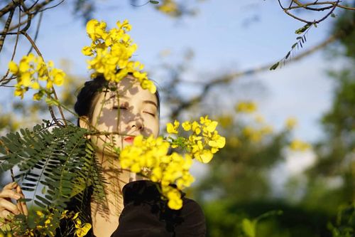 Đến Gia Lai ngất ngây trước rừng hoa muồng vàng rực