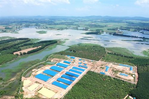 Trại nuôi heo 1,4 ha không phép bên hồ Trị An
